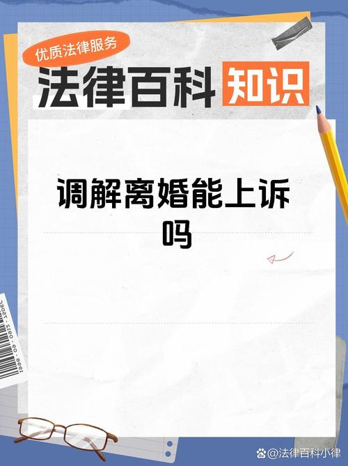 跨国连线 涉外离婚纠纷30分钟“云化解”