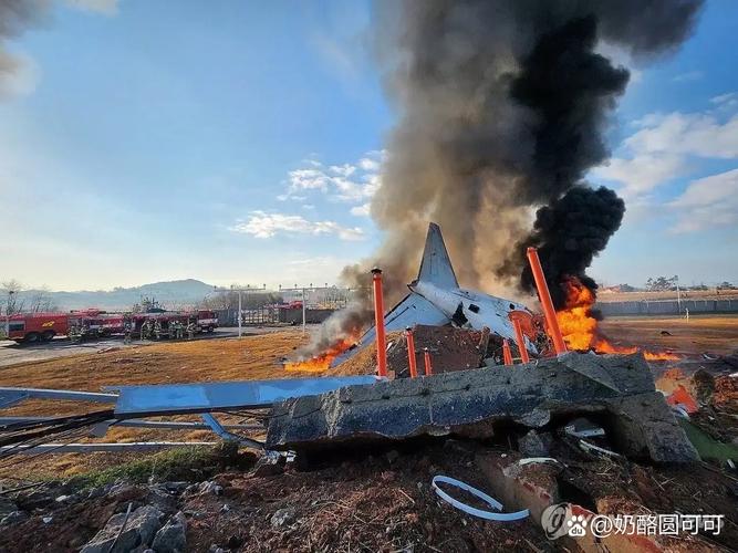 韩国客机碰撞起火事故已致177人死亡
