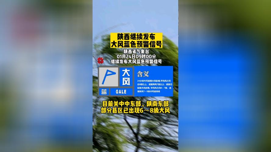 陕西省秦都区发布大风蓝色预警_5