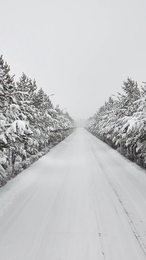 黑龙江省伊春市发布道路冰雪黄色预警_3