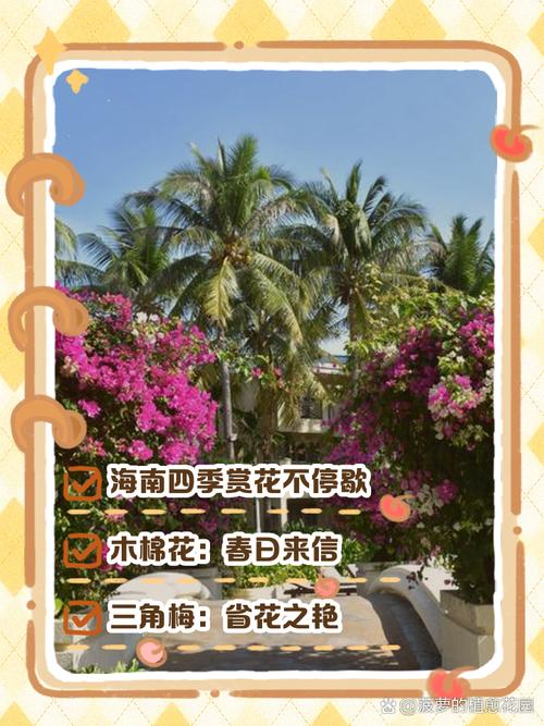 海南周刊|蜈支洲网红厕所:方寸之地“海上花”