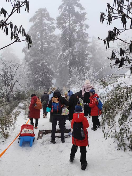 （新春走基层）四川洪雅瓦屋山景区持续火爆 未预订勿前往