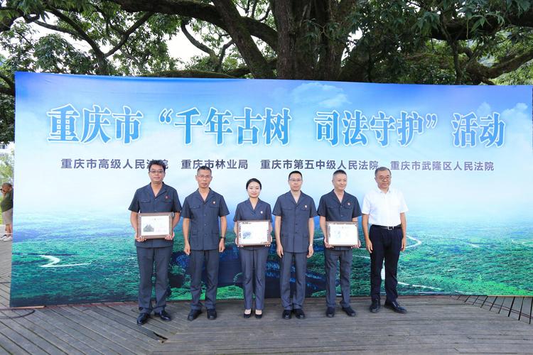 重庆推行千年古树司法守护人制度