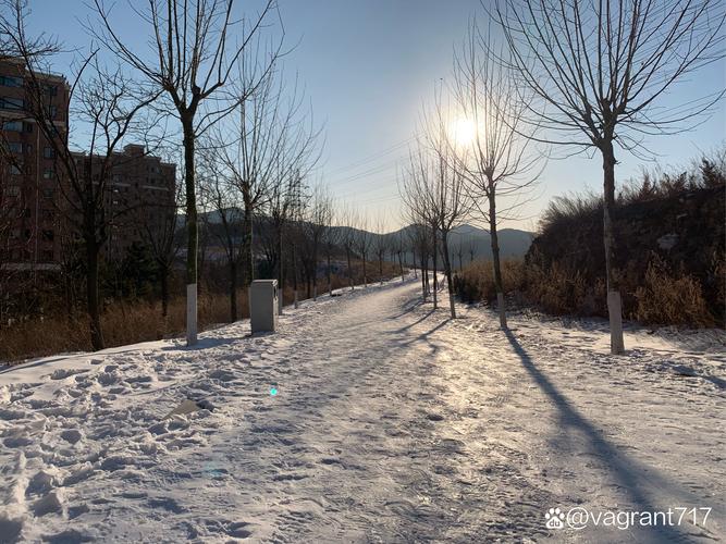 雪后清晨探访合肥通行:主干道比较通畅,有些弯道有少量残雪