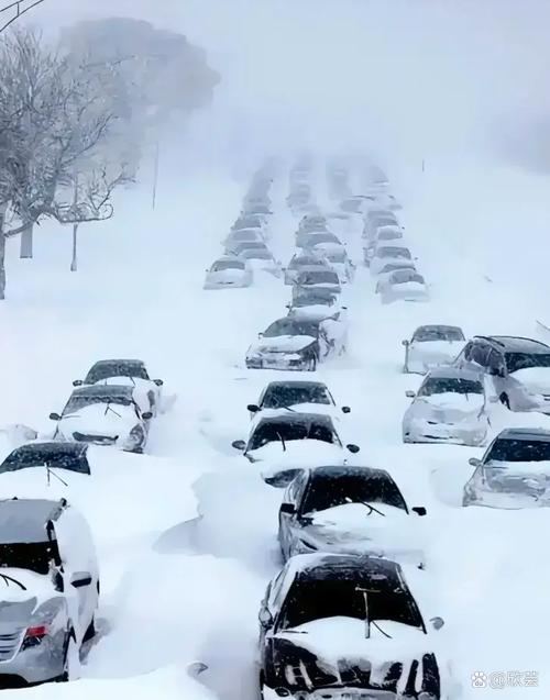 内蒙古自治区扎鲁特旗发布暴雪黄色预警