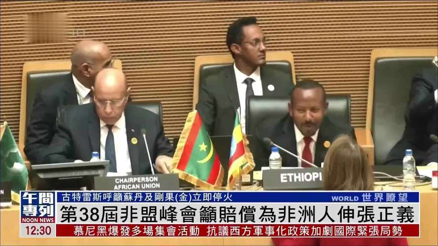 非盟峰会重申对违宪政府更迭零容忍