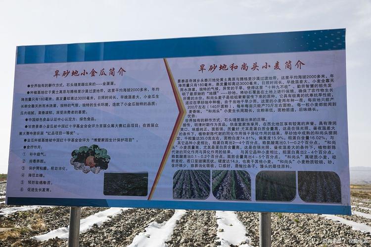 甘肃永靖“大应急”体系缓解自然威胁 荒山变林海衍优质特产