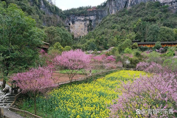 黄土塬上有个“桃花源”