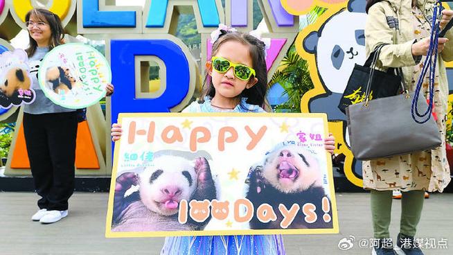 香港海洋公园庆祝首对“港产”大熊猫满百日