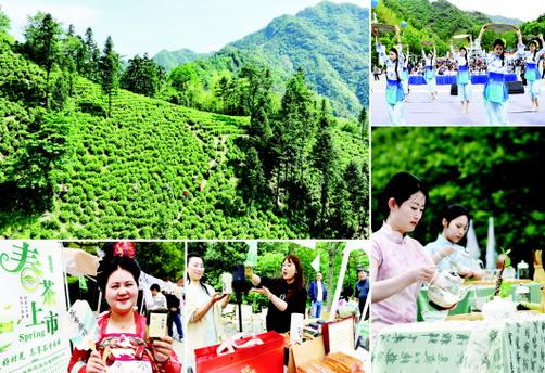 长沙:茶香漫“五一” 满目青绿野趣多