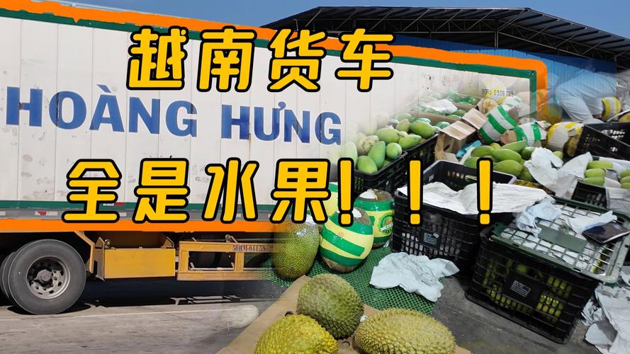 (新春见闻)中越口岸东南亚水果跨境“春运”热