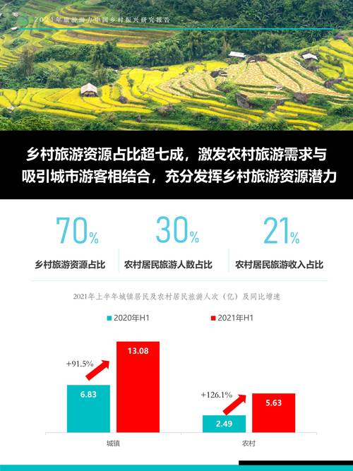 让村民享受乡村旅游的发展红利(专家点评)