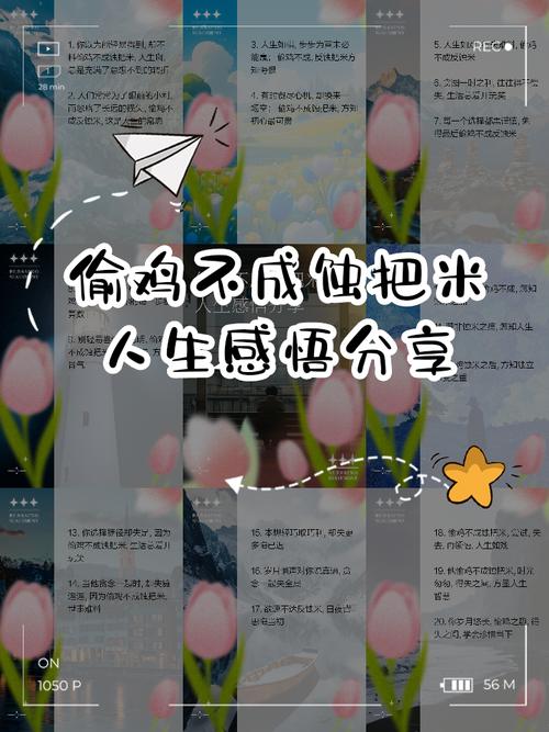 莫要“偷鸡不成蚀把米”