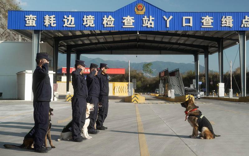 警犬“龙虎”光荣退役 “后辈”衔来大红花