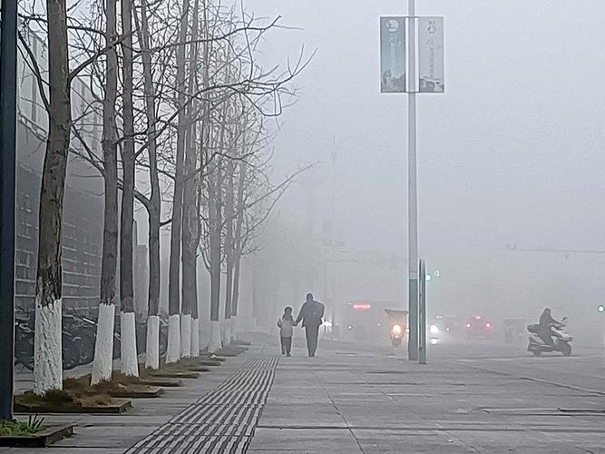 河南省泌阳县发布大雾黄色预警_1