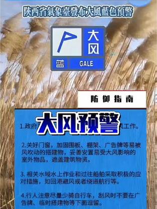 陕西省蒲城县发布大风蓝色预警_4