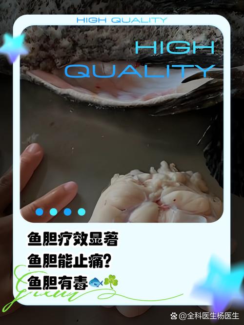 鱼千万不要这么吃!有人吃出胆囊炎、胆管炎,甚至胆管癌