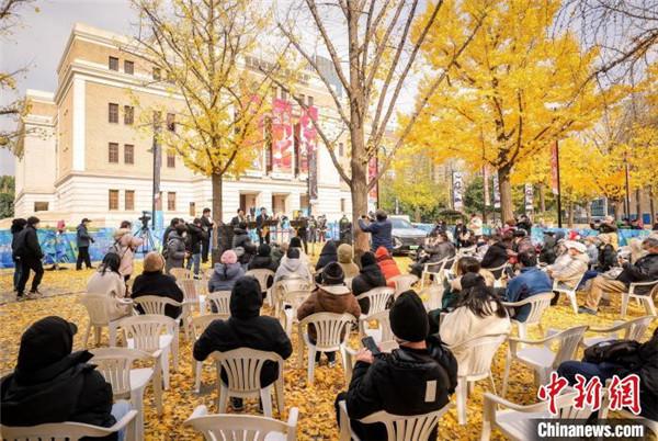 申城银杏进入最佳观赏期 户外银杏音乐会“出圈”