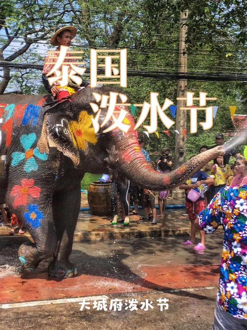 长长的鼻子相互泼水,大象也过“泼水节”啦!