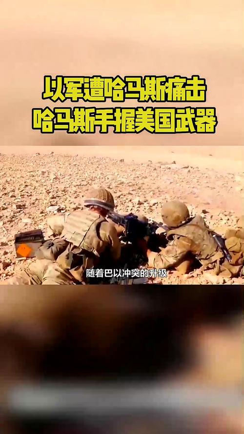 美称有理由评估以军“以不符合国际法的方式”使用美国武器