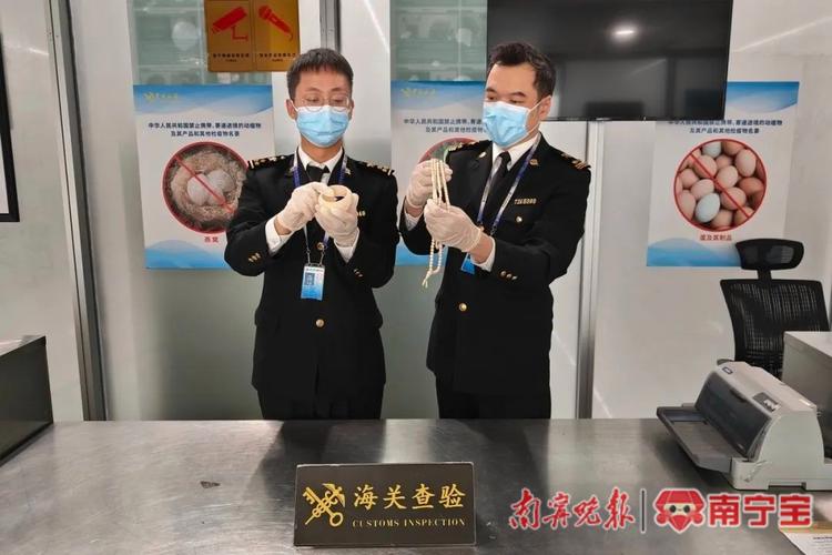 贵阳龙洞堡机场海关查获象牙制品,共重381.83克